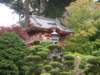 Photo Number 10
