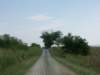 Photo Number 1