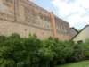Photo Number 5
