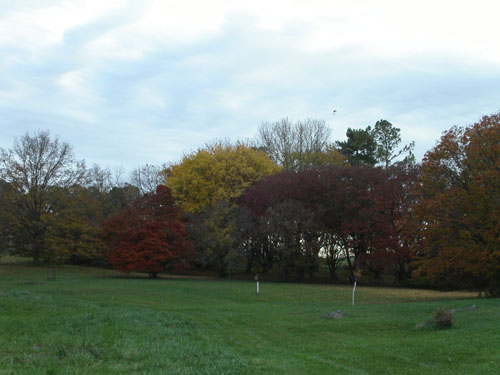12-arboretum