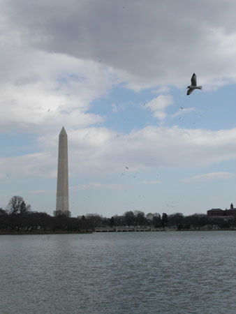 Washington-05