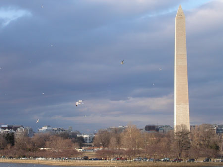 Washington-08