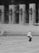 13-ballet